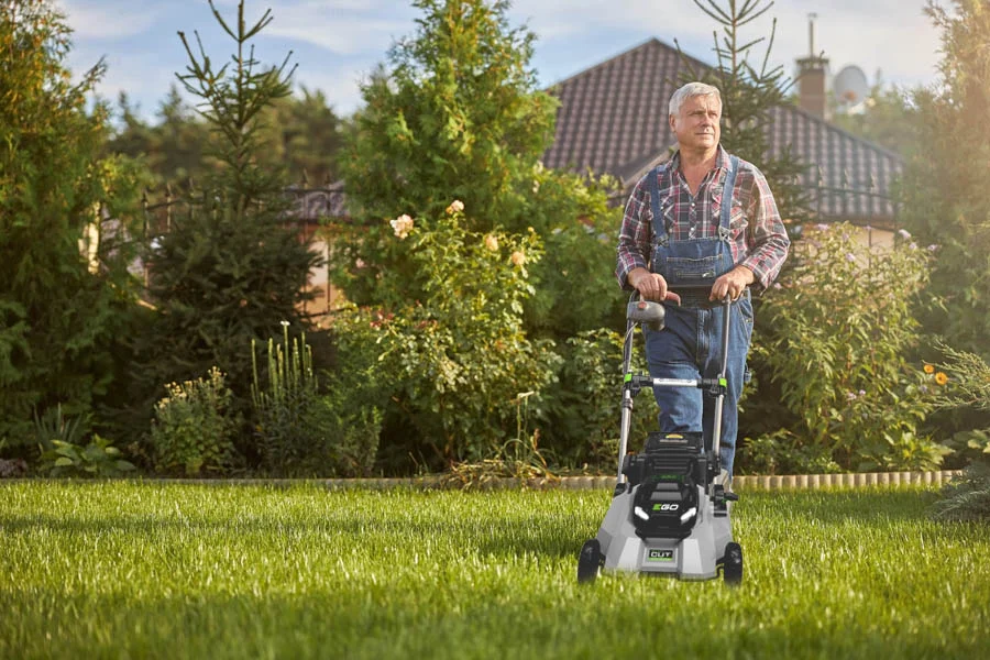 new lawn mowers